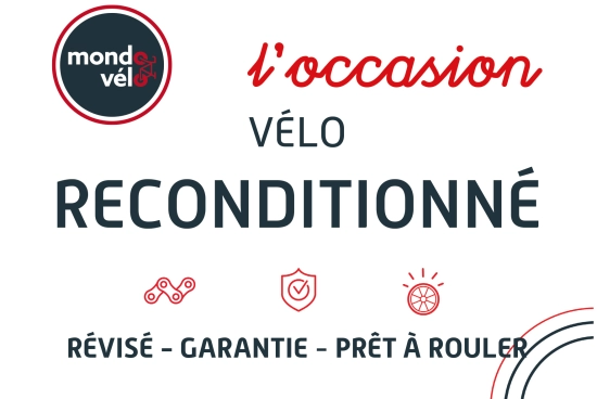 VTT-velo-electrique-route-vtc-cargo-pliant-magasin-cycles-mondovelo